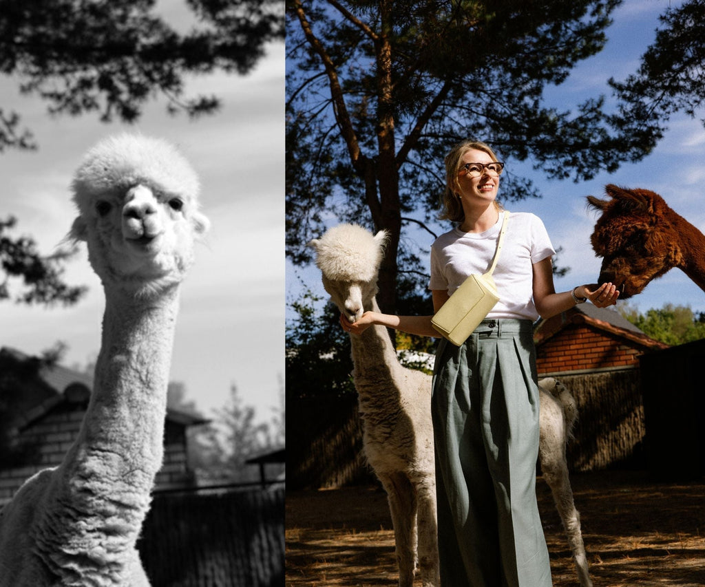 Celebrating 7 years of KAAI: KAAIwoman Hannelore