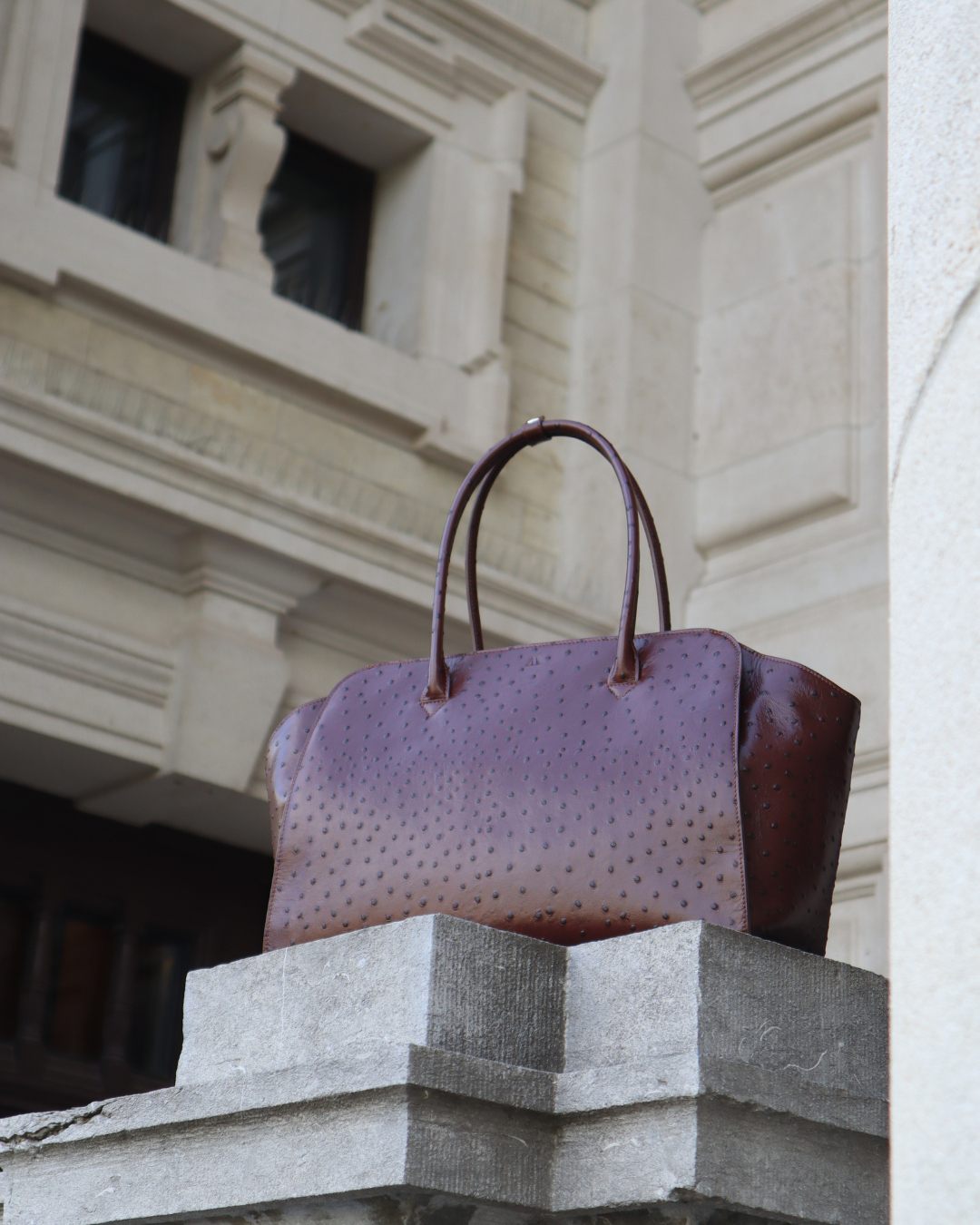 Fall-Winter collection