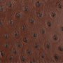 Ikon Clutch - ostrich chocolate brown